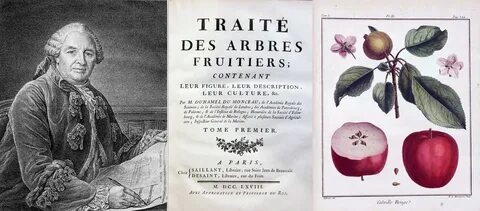 Traite des