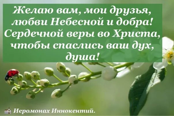 Доброе утро божьей помощью картинки. Пожелание доброго утра и Божьей помощи. Пожелания добра радости и Божией помощи. Пожелания здоровья и Божьего благословения. Открытки с пожеланиями Божьей помощи.