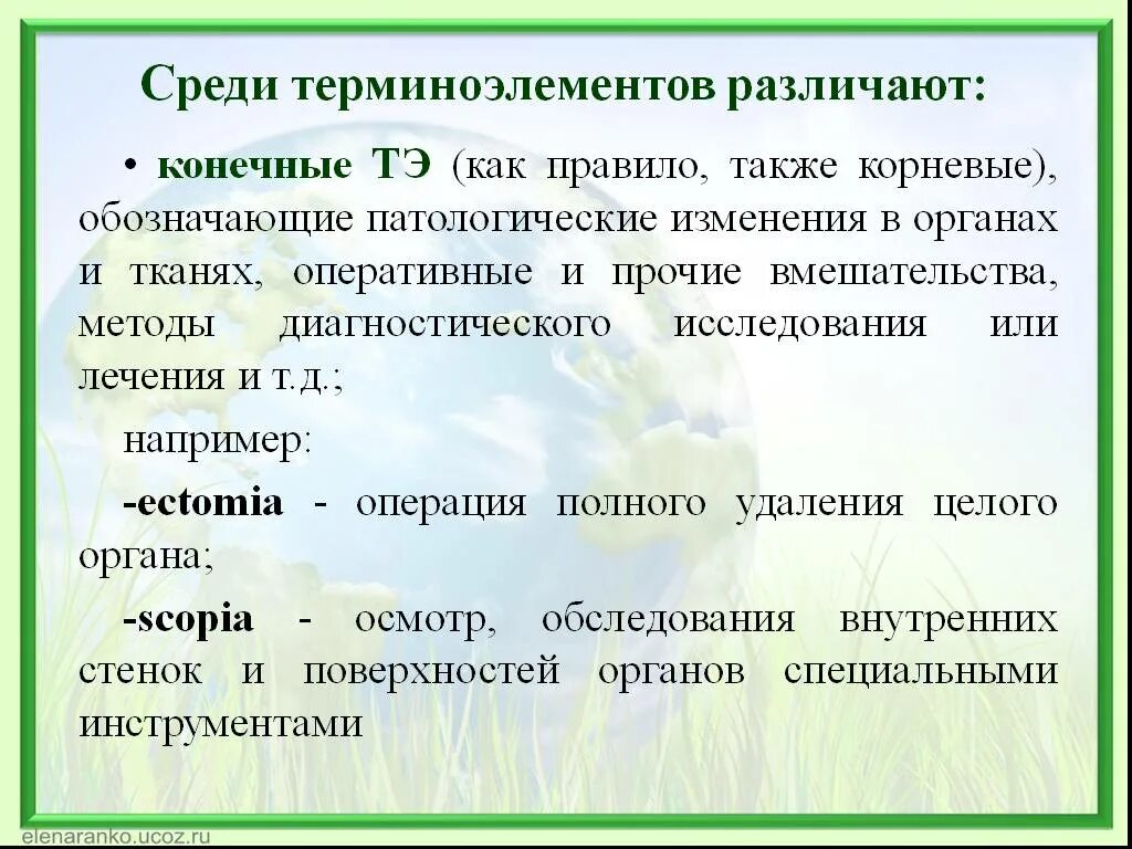 Воспаление латынь терминоэлемент. Терминоэлемент в латинском языке. Терминоэлементы в латинском языке медицинские. Начальные и конечные терминоэлементы в латинском. Терминоэлементы терапия.