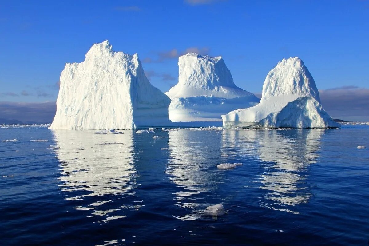 На что больше похож лед. Арктика Антарктика Антарктида. Гренландия ледник Антарктида Арктика Гренландия. Море Уэдделла. Антарктида Гренландия Арктика Северный Ледовитый океан.