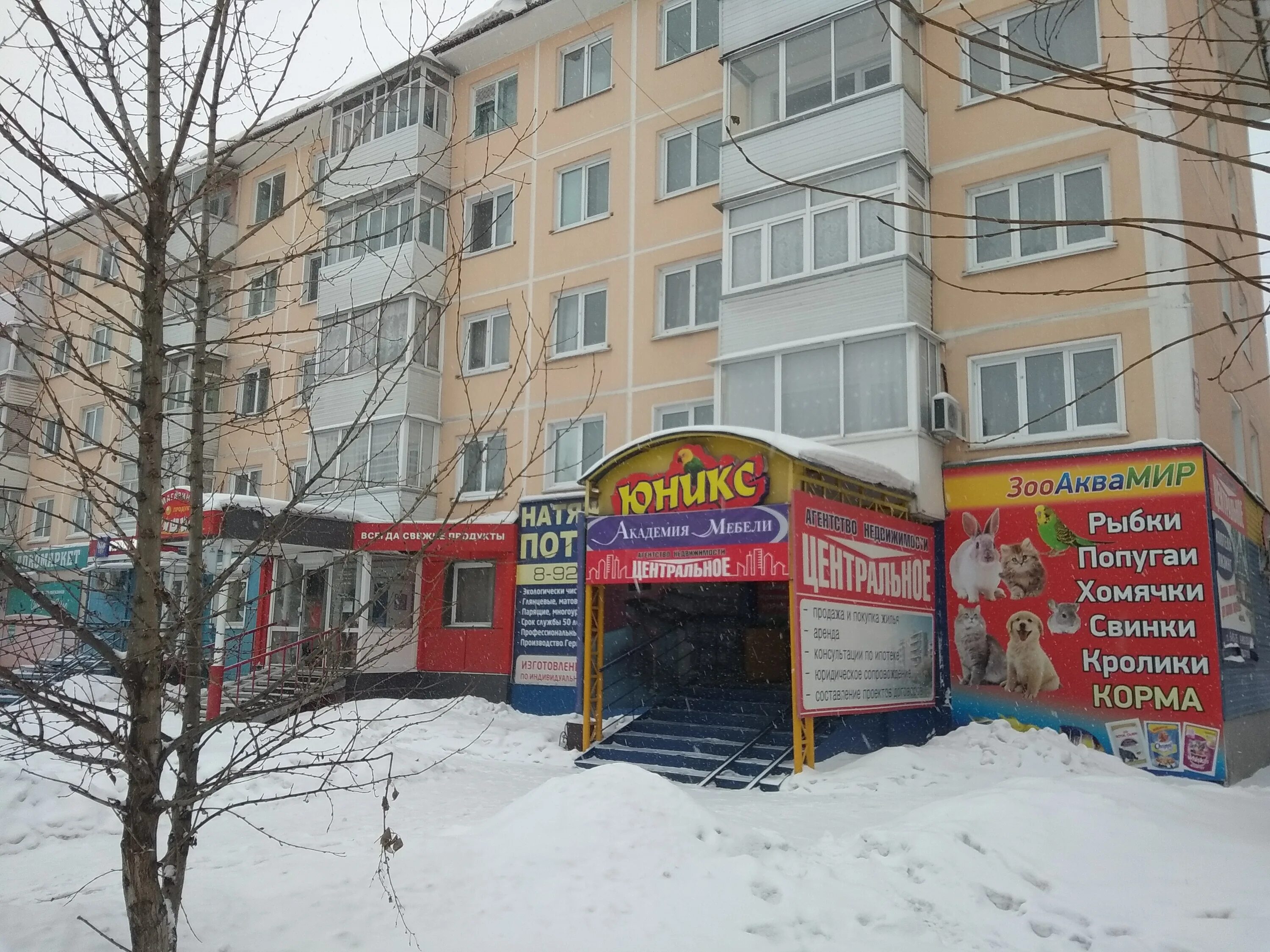 1 микрорайон дом 1 ачинск. 4 микрорайон ачинск. тк гранд ачинск. ачинск 5 микрорайон 42. секонд хенд ачинск.