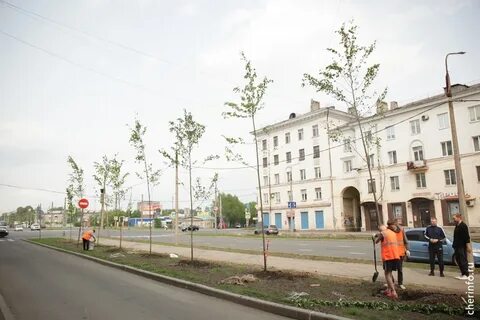 Сталеваров индекс