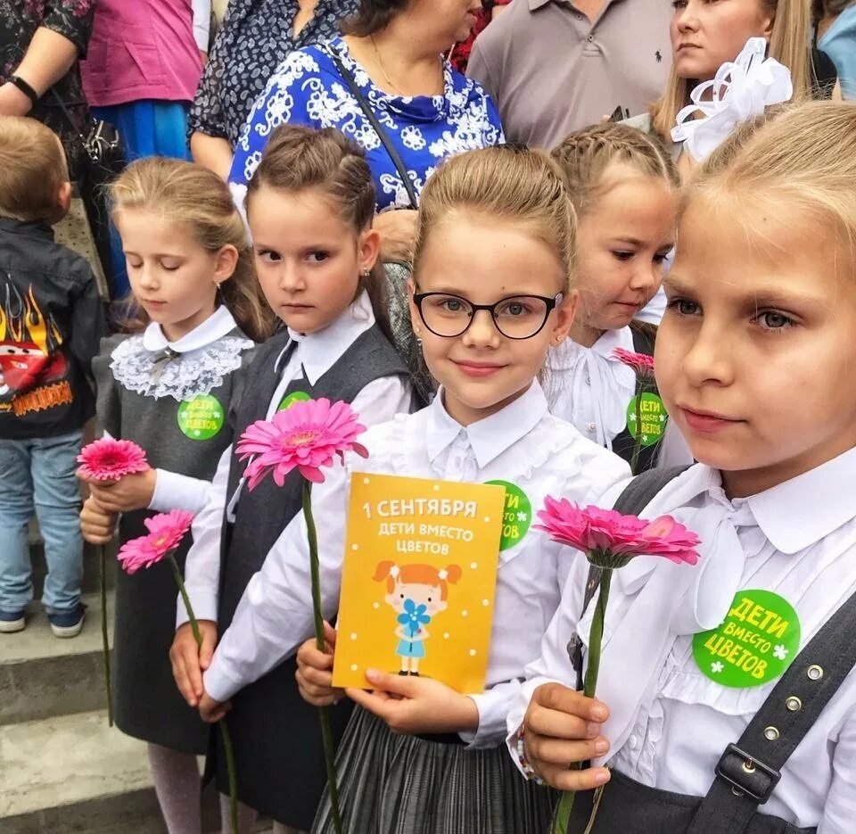 Будет ли помощь к 1 сентября. Первоклассник с цветами. подарок на 1 сентября ребенку первокласснику. дети вместо цветов 1 сентября.