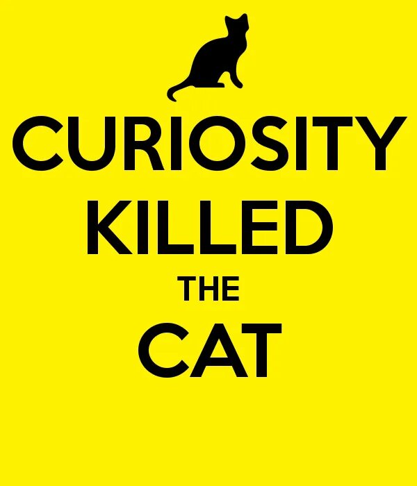 Curiosity Killed the Cat. Curiosity Killed the Cat русский эквивалент. Пословица Curiosity Killed a Cat.. Curiosity Killed a Cat на русском. Curiosity killed the