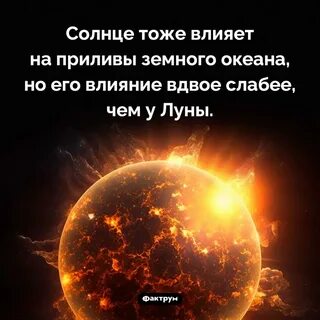 Солнце также