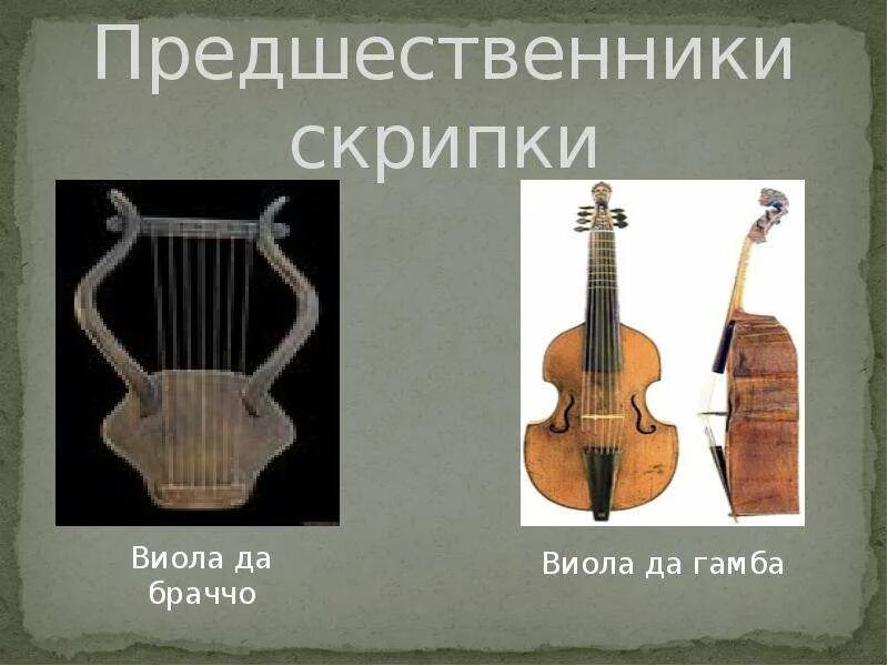 История струнных музыкальных инструментов. Струнно смычковый инструмент предшественник скрипки. Предшественник скрипки. Струнный щипковый инструмент предшественник скрипки. Струнно смычковые инструменты.