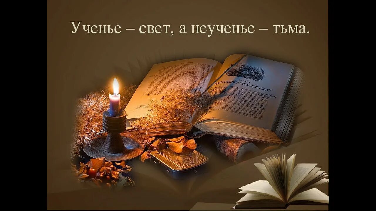 Неученье тьма значение пословицы. Неученье тьма значение пословицы