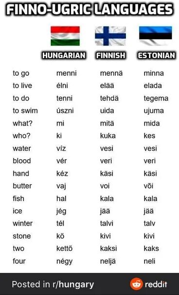 Языки похожие на немецкий. Эстонский и финский языки похожи. Сходство венгерского и финского языков. Эстонский и финский языки сходство. Венгерские слова.