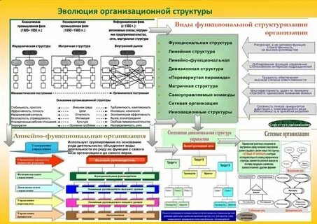 Развитие организационной структуры функции