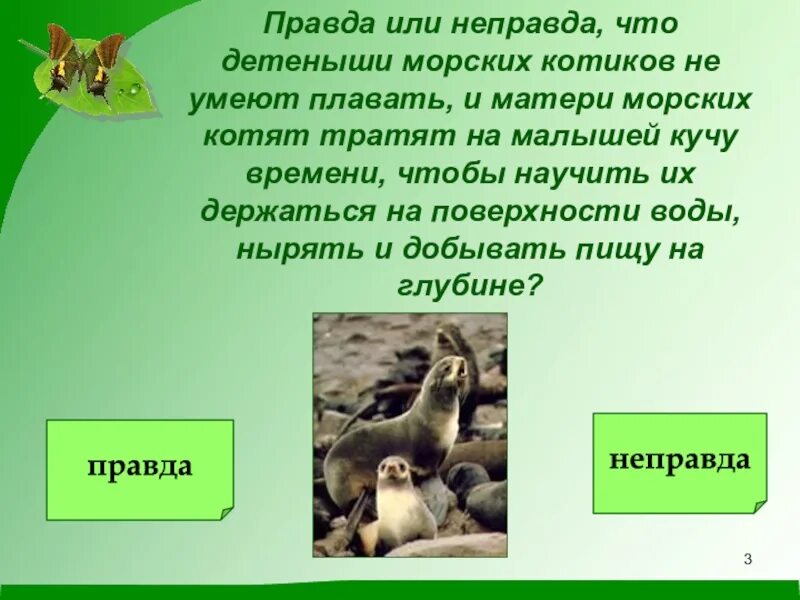 Неправда вместе или. Правда неправда презентация. Презентация на тему правда-неправда игра. Не правда или неправда. Игра правда неправда.