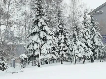 Прогноз погоды г прокопьевск