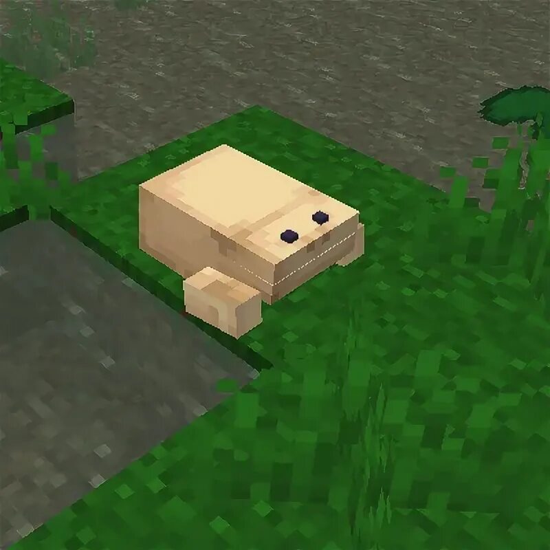 Frog mod minecraft. Quark лягушки майнкрафт. майнкрафт frog. кварк мод на майнкрафт. пещерипаха майнкрафт quark.
