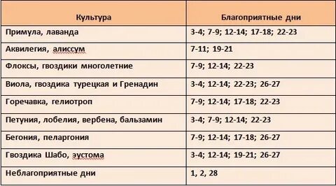 Дни пересадки цветов в октябре