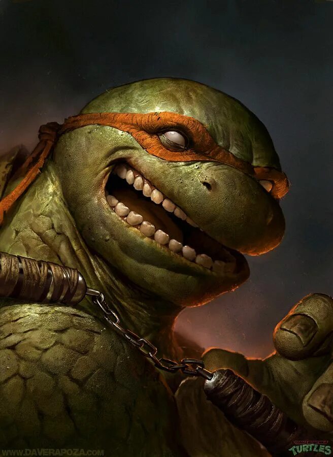 Микеланджело ниндзя. Микеланджело черепашки-ниндзя. tmnt микеланджело. дэйв. рапоза. черепашки. ниндзя.