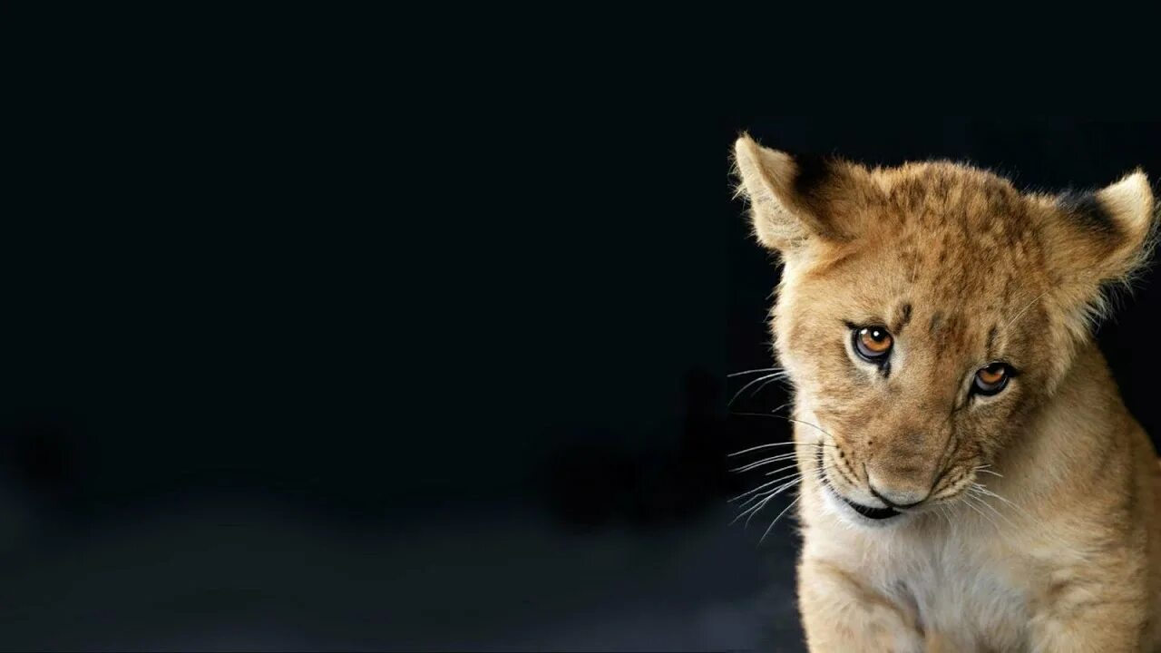 Превью проекта: Интернет-магазин