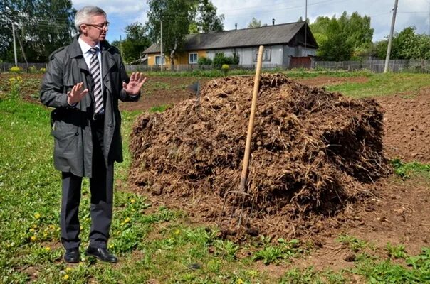 Фермеры навоз. Человек с лопатой. Фермеры навоз. Фермер с навозом. Вилы для навоза.