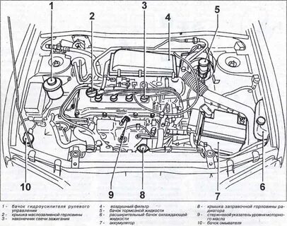 Схема подкапотного пространства ваз