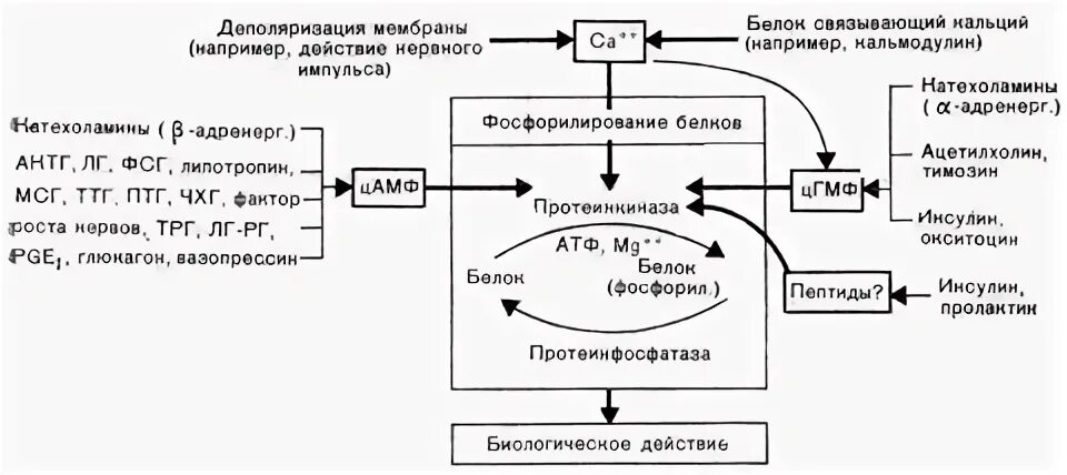 Система 2 том