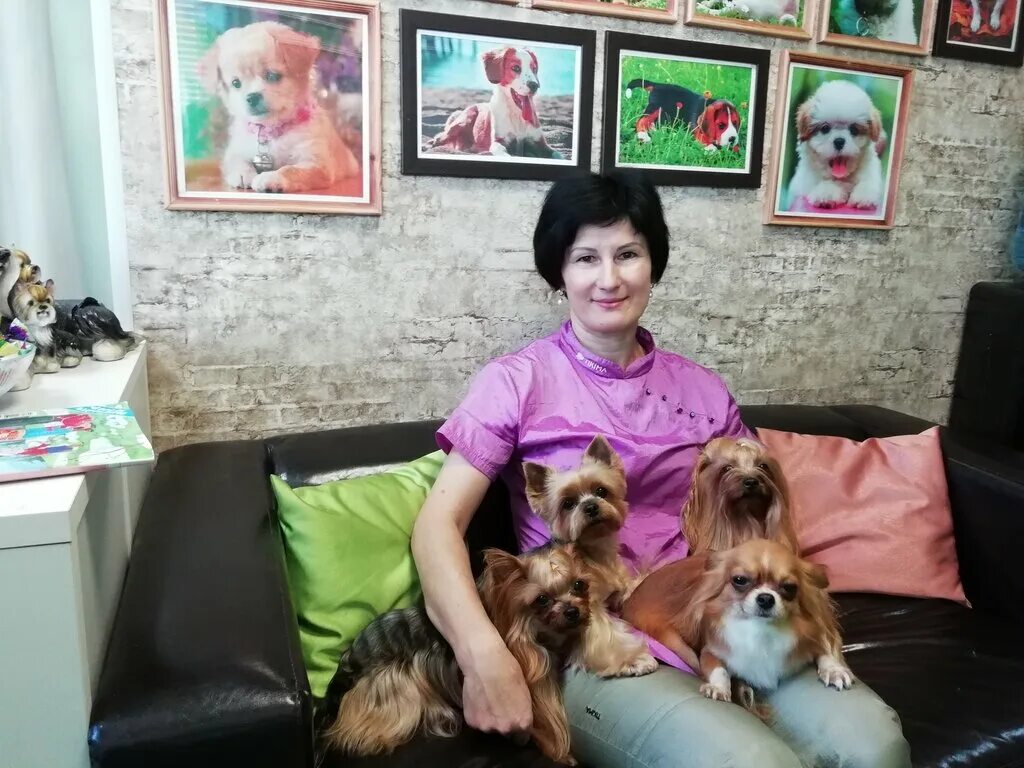 свердлова. ветеринарка в щелково питомец. ветеринарная клиника питомец череповец. питомец ул свердлова 16 щелково отзывы. ул свердлова д 16 щелково.