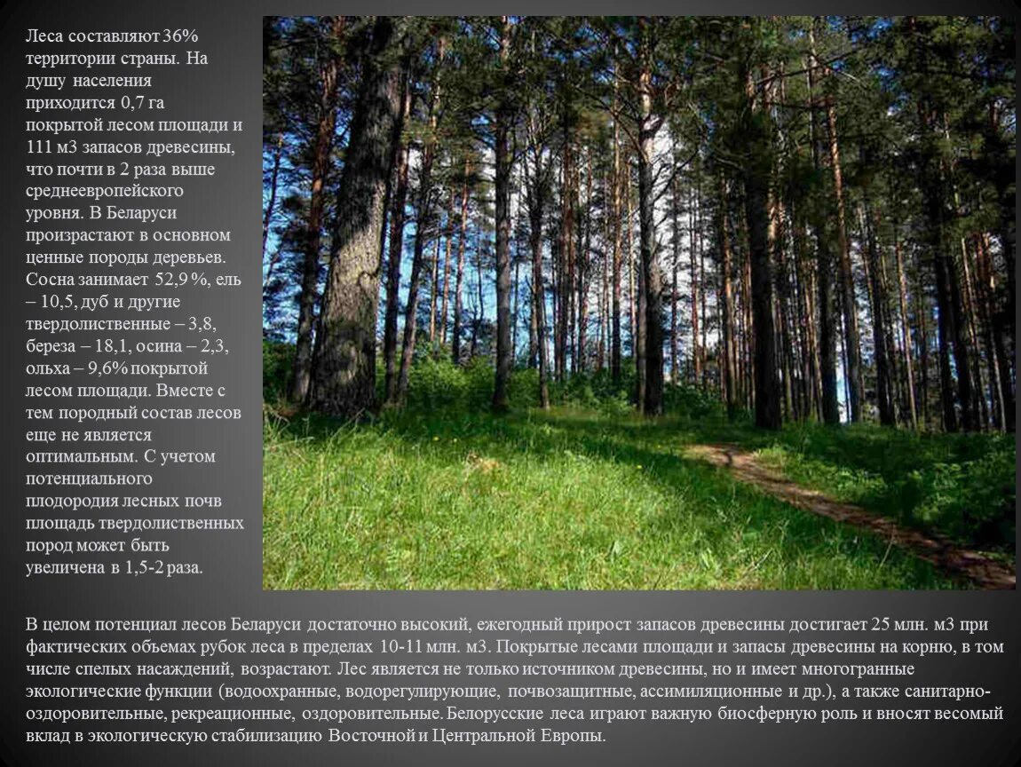 Таежная зона омской области. Кар гора шарканский район. Покрытые лесом площади. Лесные ресурсы центрального экономического района. Тайга республики коми.