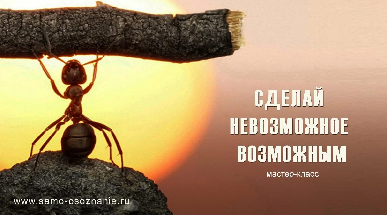 Три ничто
