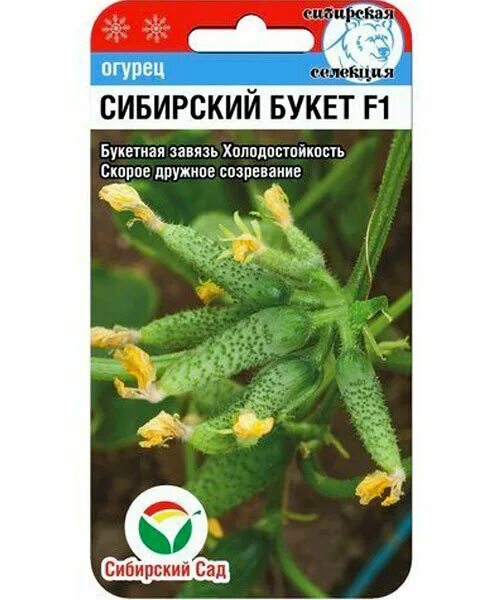 Семена Огурец Сибирский букет F1 7 шт Сибирский сад