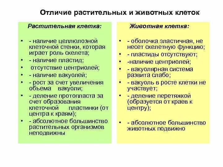 Растительная отличается от животной