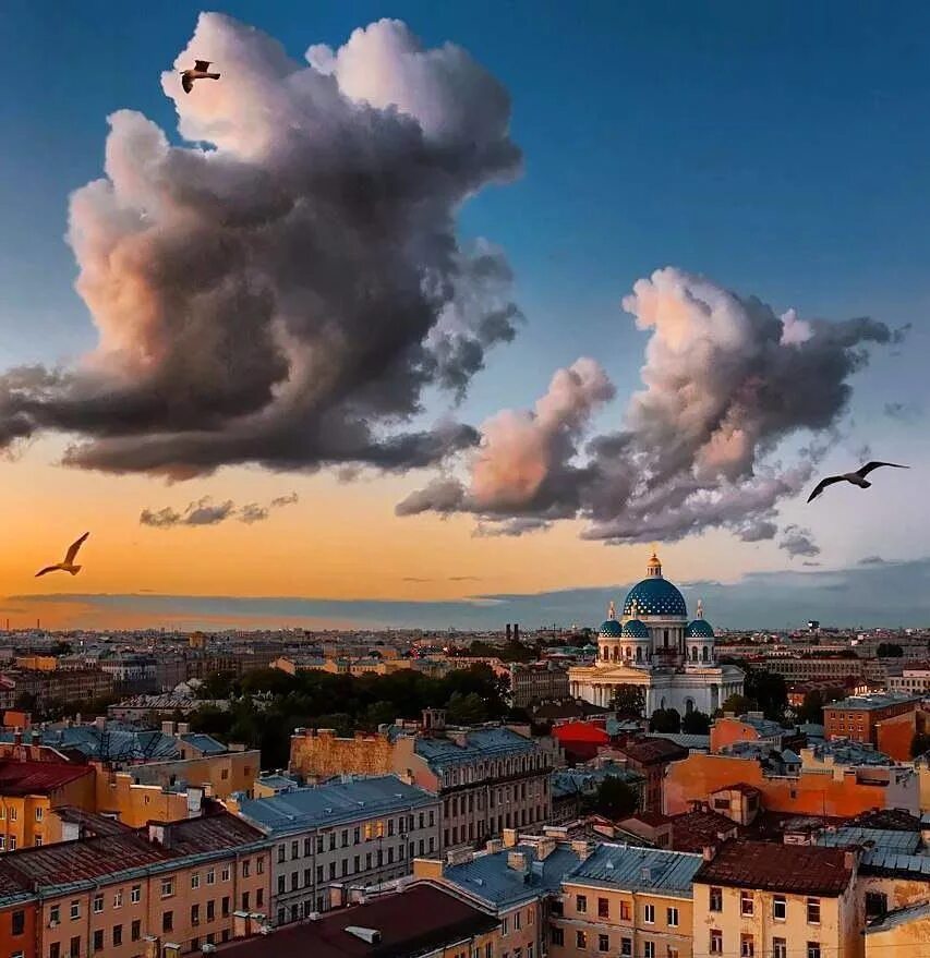 самолеты над петербургом. полет над питером. небо над санкт-петербургом.