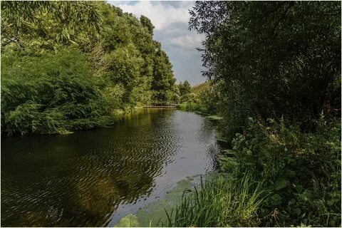 Река куликово