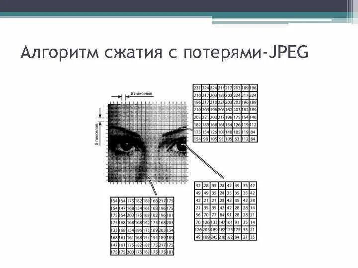 Алгоритмы сжатия изображений. Алгоритмы сжатия с потерями. Сжатия изображений пример. Алгоритм сжатия jpeg. Сжатие mjpeg