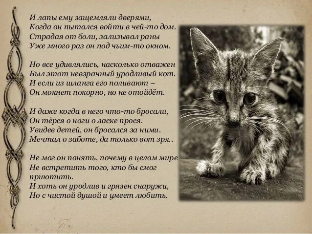 Главная мысль стихотворения котенок. Уродливый кот стих. Стих про уродливого кота до слёз. Стих про кота грустный.