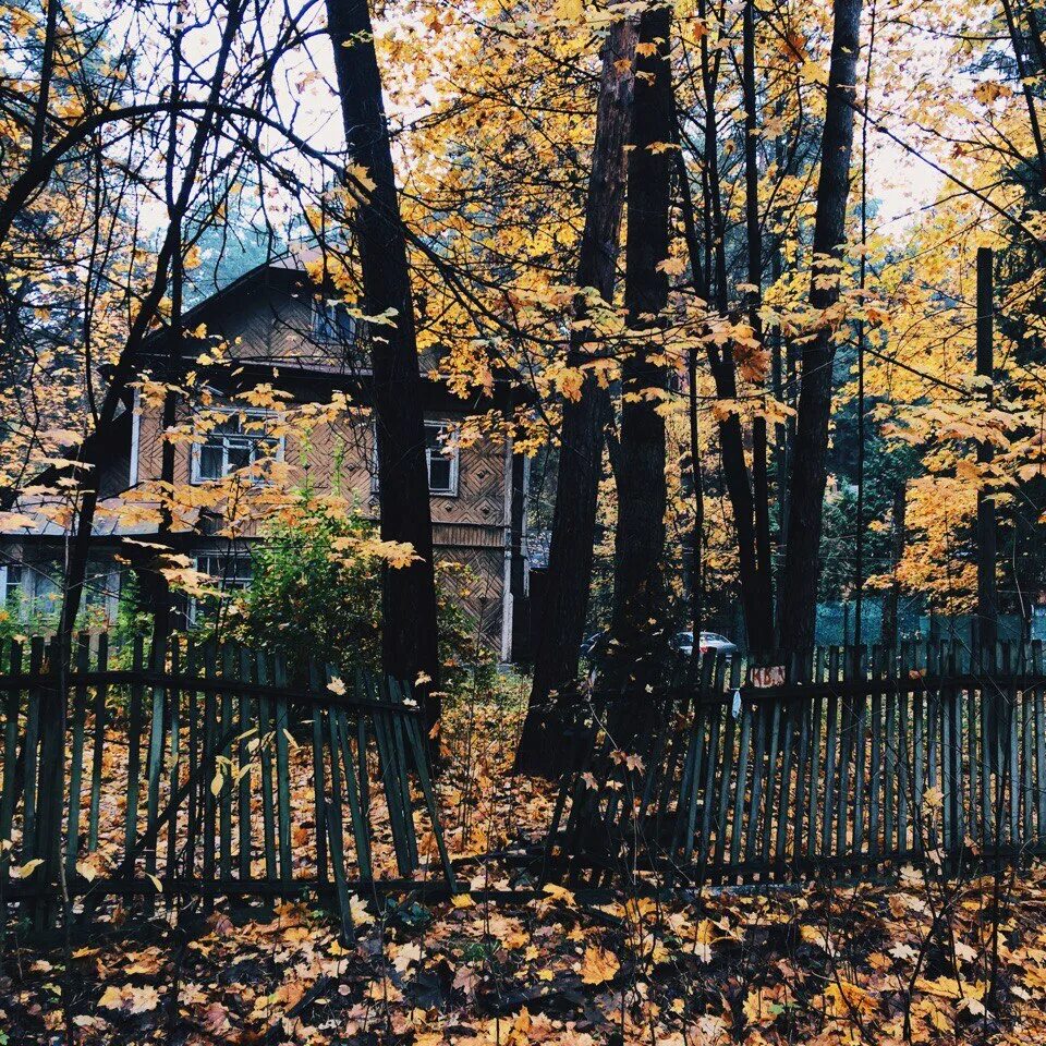 Новопеределкино усадьба. Село переделкино. Храм преображения господня в переделкино. Село переделкино. Катаев переделкино.
