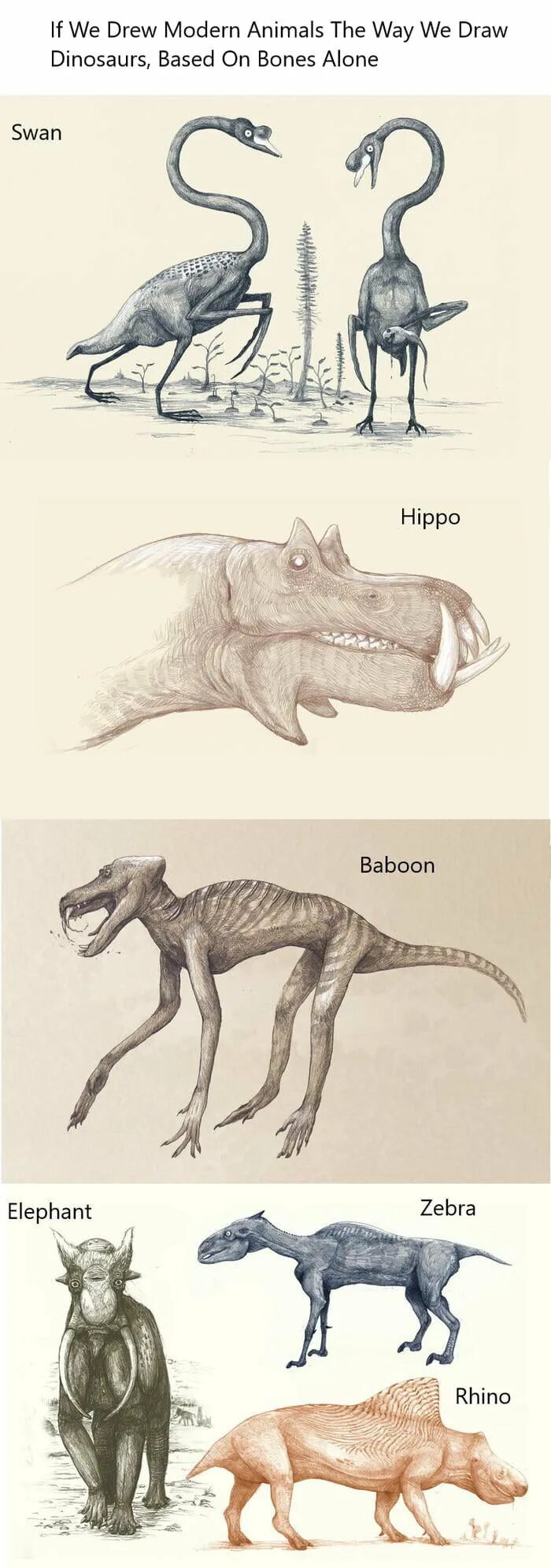 Modern animals. Нарисовать динозавра. Кость динозавра. Старые рисунки динозавров. Реконструкция динозавров на основе современных животных.