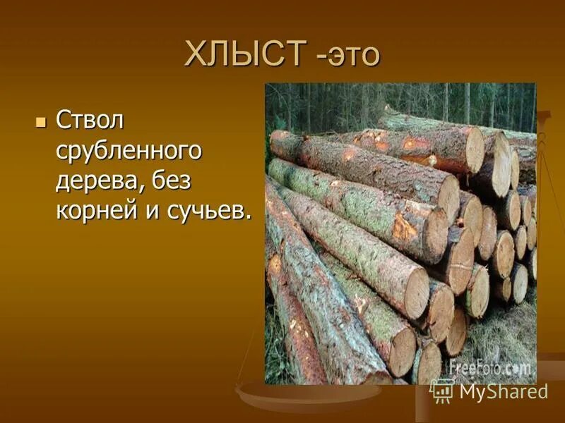 лес тонкомер пиловочник. хлыстовая древесина. кругляк сосна тонкомер. пиловочник лиственница. хлысты деревьев это.