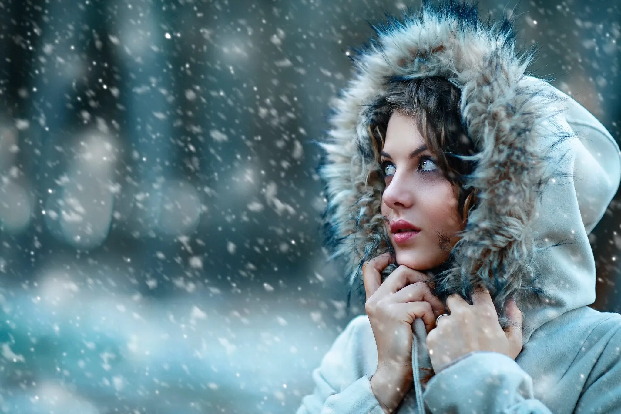 Snow model