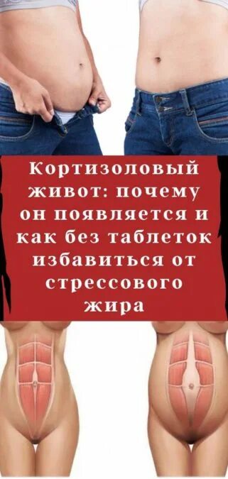 Кортизоловый живот почему появляется и как избавиться. Кортизоловый живот. гормональный и кортизоловый живот. кортизоловый живот у женщин. кортизоловый живот у мужчин.