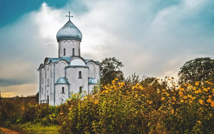 Поле спас. Поле спас