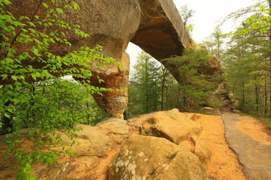 Каменный мост в небо. Ущелье Кентукки. Long Stone. Ky_Trail.