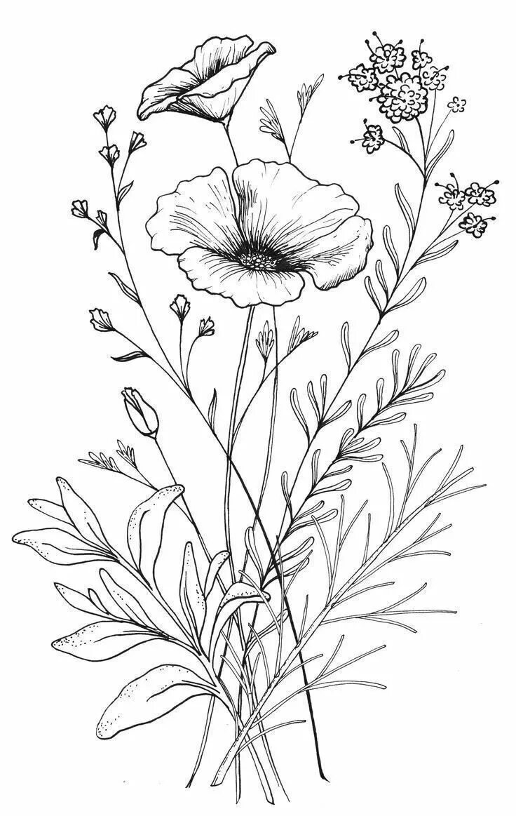 bluebells line drawing - Bing Images Flower coloring pages, Printable flower col