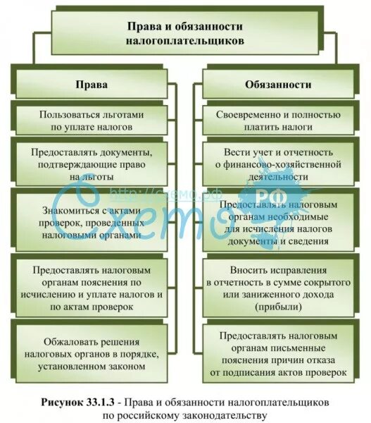 Ответственность ревизора. Обязанности налогоплательщика схема.