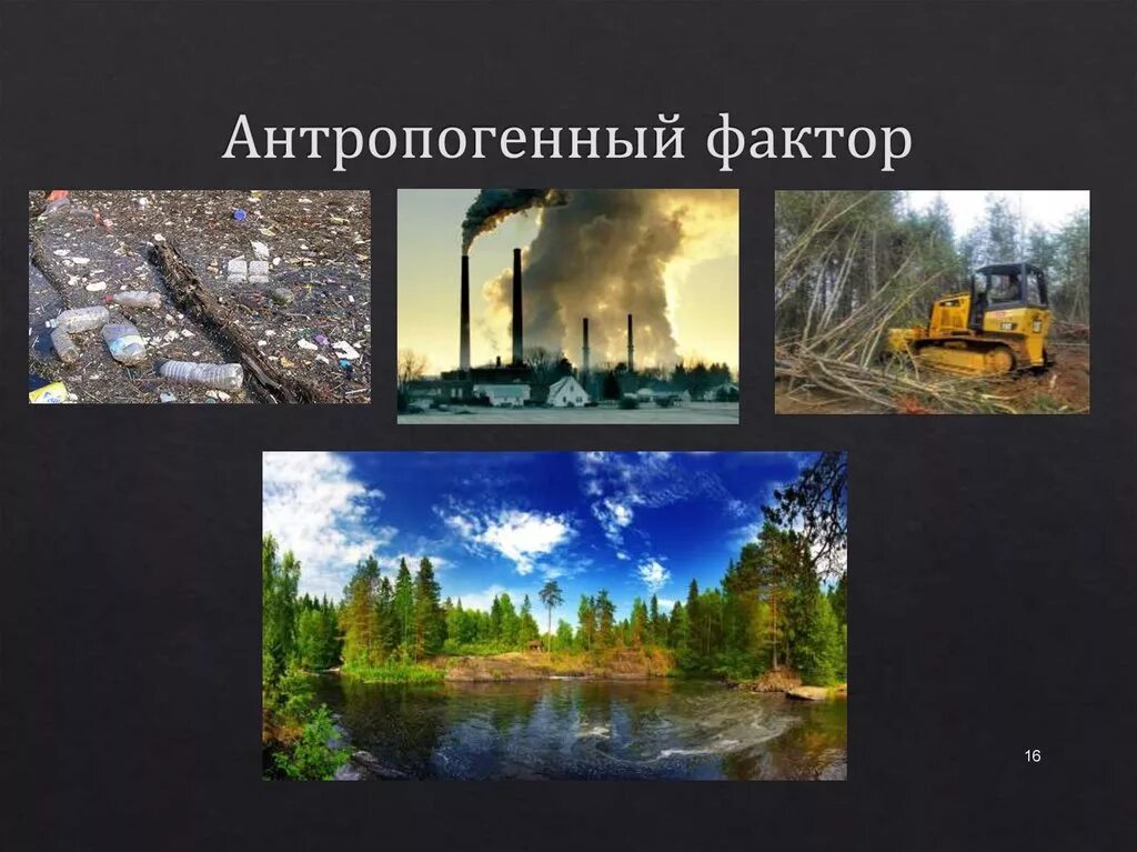 Антропогенные факторы связанные с деятельностью человека. Антропогенные факторы. Антропогенные факторы среды. Комплексные антропогенные факторы. Антропогенное воздействие на растительность.