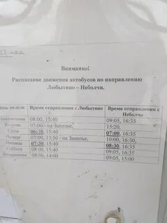 Расписание автобусов боровичи завтра