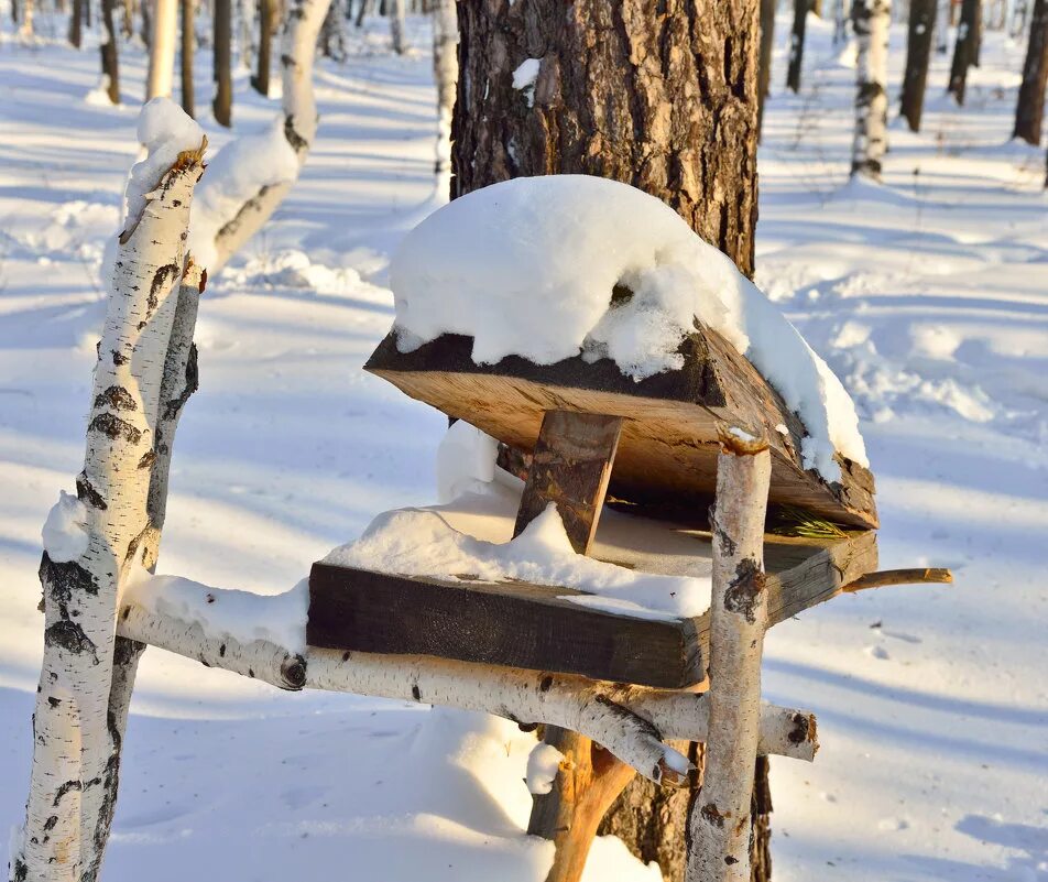кулемка на куницу. кулемки на куницу. капкан кулемка на куницу. кулемка на куницу. кулемка самолов на куницу суас.