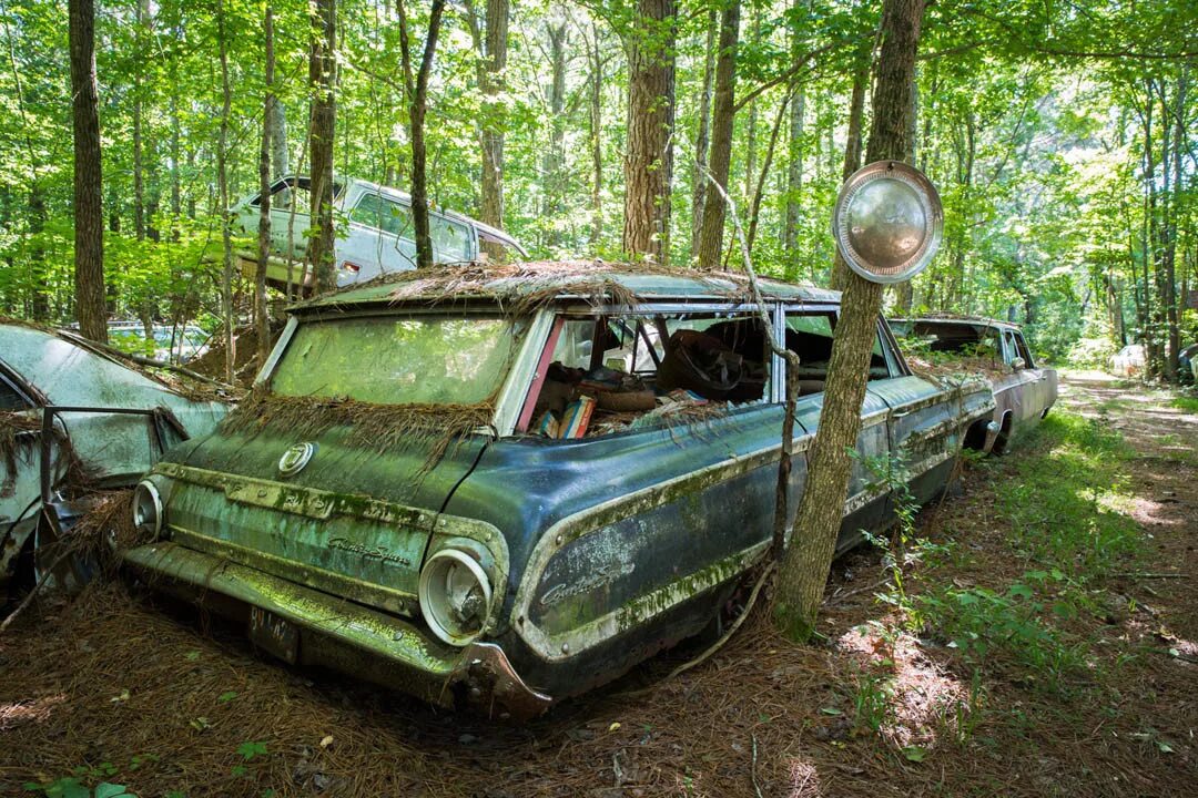 покажи самую старую машину. старый ржавый автомобиль. разбитый фольксваген жук. старинные машинки. олд кар сити кладбище авто.