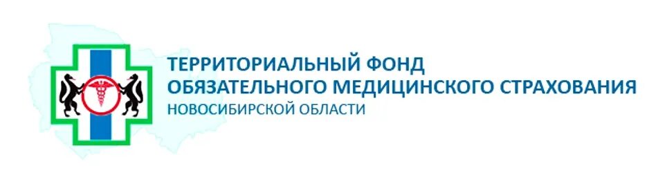 Сайт территориального фонда страхования. Территориальный фонд ОМС НСО. Территориальный фонд обязательного медицинского. Территориальные фонды. Фонд обязательного медицинского страхования.