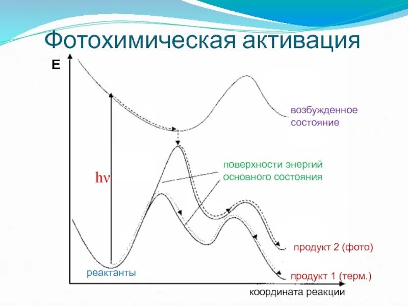 Состояние продукта. Фотохимическая активация химических процессов. Энергия активации фотохимических реакций. Ультразвуковая активация. Первичная реакция фотохимическая активация.