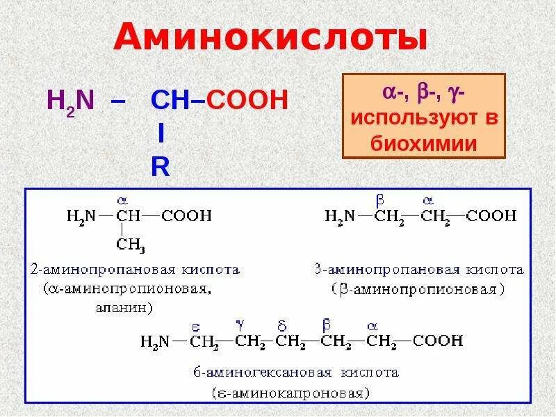 Строение Амины кислоты. Химическое строение и свойства аминокислот. Амины формула строение\. Состав аминокислот химия.