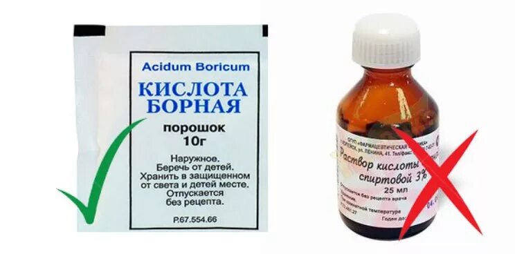 Как развести борную кислоту от тараканов