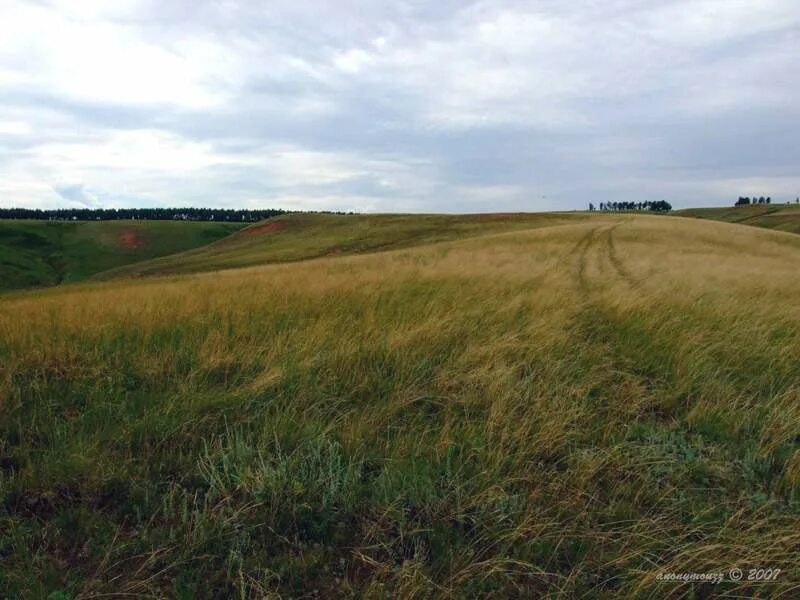 Село асекеево. Погода асекеево оренбургская область на 10. Погода асекеево оренбургская область на 10. Памятники села асекеево оренбургской. Асекеево школа.