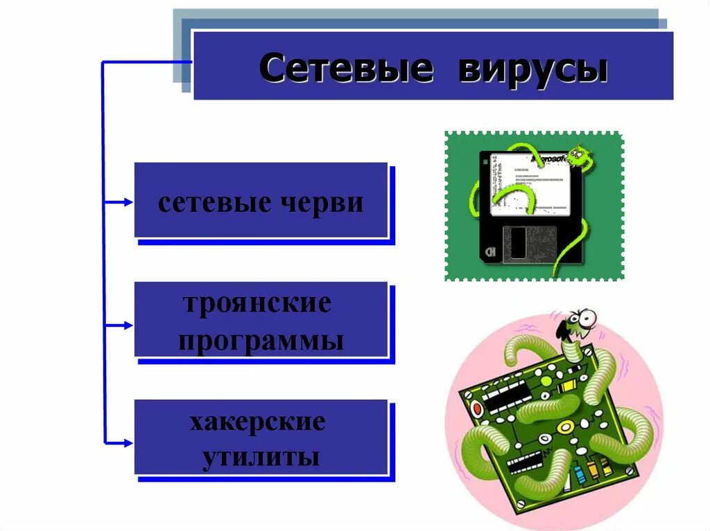 Сетевые черви вирусы. Сетевые вирусы. Сетевые компьютерные вирусы. Виды сетевых вирусов. Сетевые вирусы это в информатике.